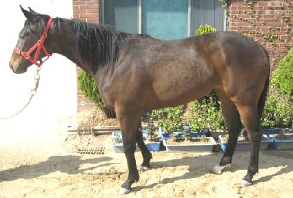 �ְ��ǰ��� ����