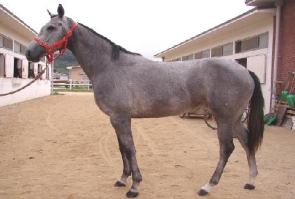 ���� ����