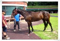 �Լ����� (HAMSEONGJILJU) ����