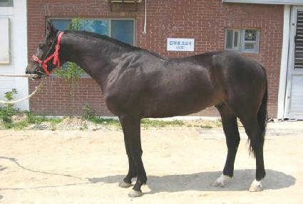 �����丮 ����