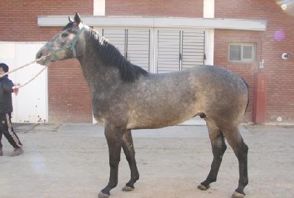 ����Ư�� ����