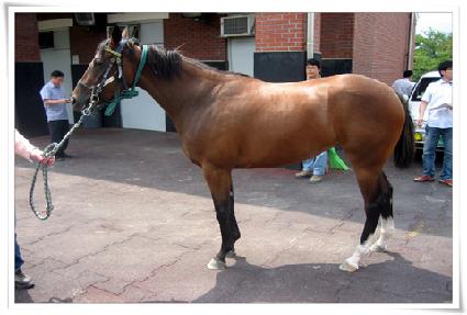 �躸�� ����