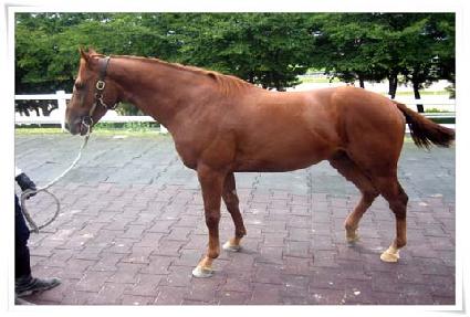 �����ڸ� ����