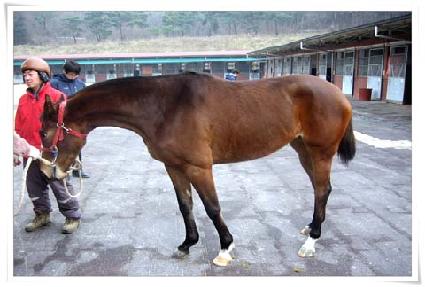 �������� ����