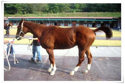 �������� ����