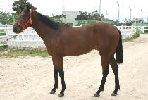 �����ѵ��� (WIDAEHAN DOJEON) ����