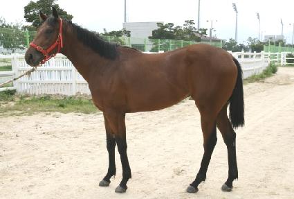 �����ѵ��� ����