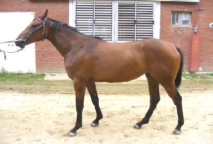 ��ٸ������� ����