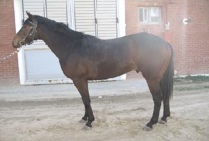 �ض�Ȳ�� ����