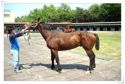 ����Ÿ�� ����