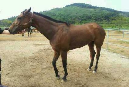 ������� ����