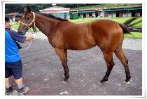 ���ڷ� (GEUMJARU) ����