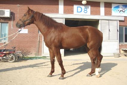 ���ع��� ����