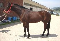 ����̹��� (UNRIVALLED) ����