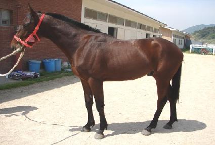 ����̹��� ����