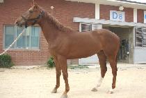 ������ (MOON LAND) ����