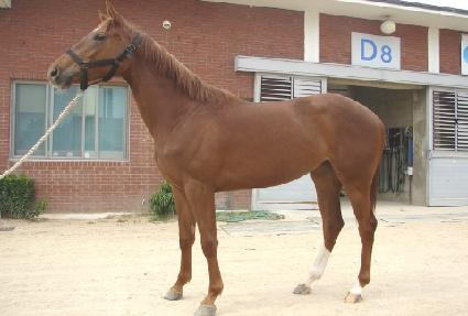 ������ ����