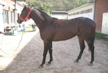 �������� ����