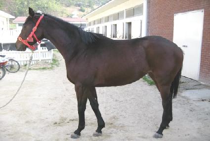 ����Ǯ��Ƽ ����