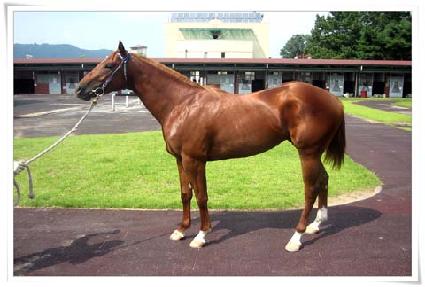 ���� ����