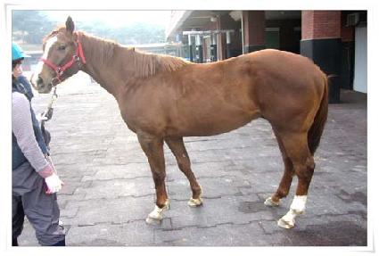 �ϵ��ھ� ����