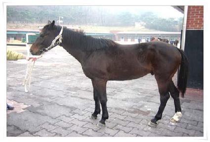 �������ϵ� ����