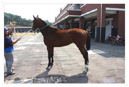 ��õ��� ����