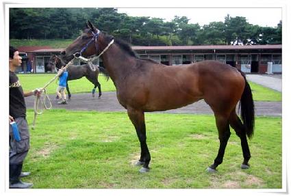 �����Ǻ�� ����