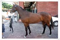 ����ó�� (SAEMMULCHEOREOM) ����