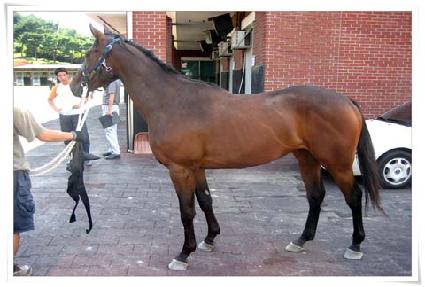 ����ó�� ����