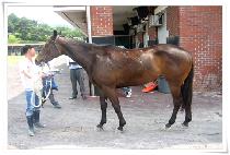 ���ο�� (SAEROUNGANGJA) ����