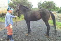 SAEROUNGAMUN picture