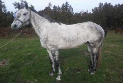 �׷��̽��� ����