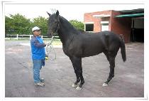 �ϱذ� (BUKGEUKGOM) ����