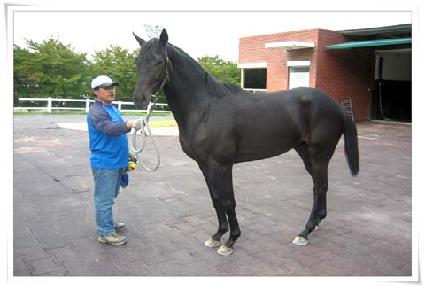 �ϱذ� ����