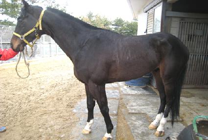 �������� ����