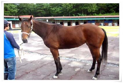 �����̽� ����