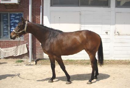 �۷θ����� ����