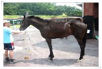 ���ߺ��� (GAYABOBAE) ����