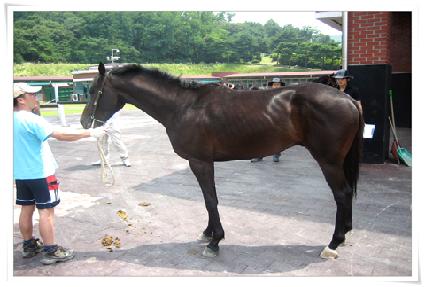 ���ߺ��� ����