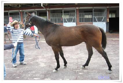 �׷���Ӵ� ����