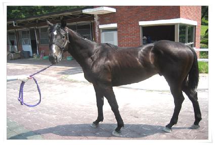 �׷���Ʈŷ�� ����