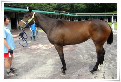 �ϴû� ����