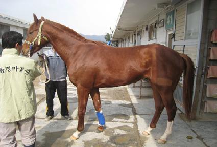 �������� ����