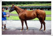 ȭ������ (FINEZIF) ����