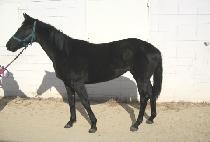 �ξ��Ǻ� (DUYANGUI BYEOL) ����