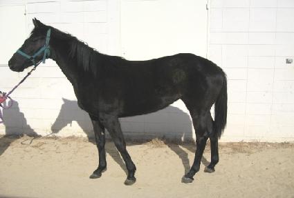 �ξ��Ǻ� ����