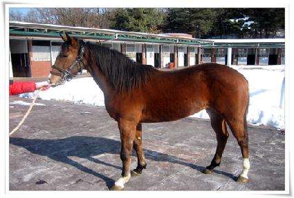 Ȳ�ݹ�� ����