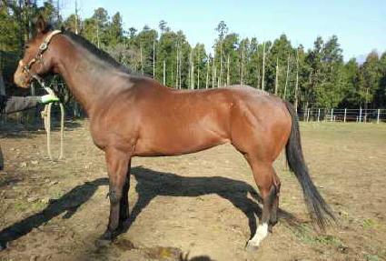 ȫ��� ����