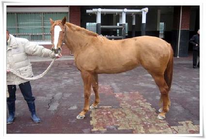 ī��Ʈ ����